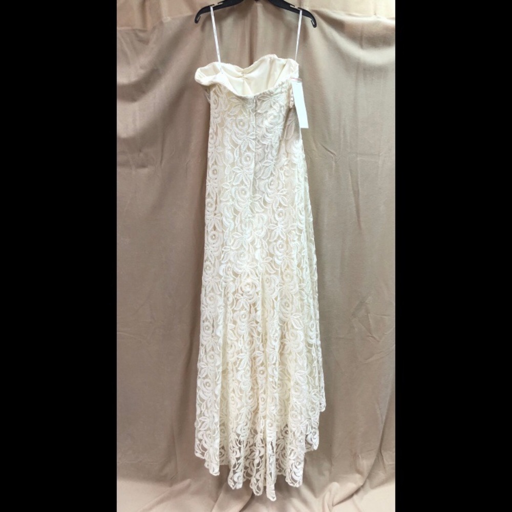 Strapless Floral Lace Gown - Picture 8 of 8